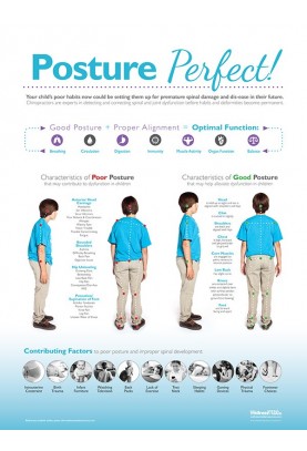 Posture Perfect Chiropractic Poster