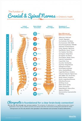 Function of Cranial and Spinal Nerves in Children...
