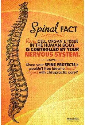 Spinal Fact Keep it Aligned Poster