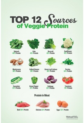 Top 12 Sources of Veggie Protein Poster