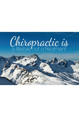 Chiropractic Lifestyle Mountains Poster
