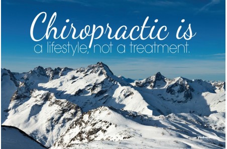 Chiropractic Lifestyle Mountains Poster