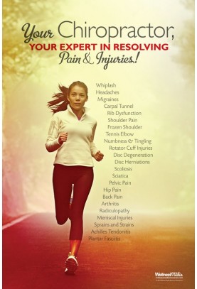 Chiropractic Pain and Injuries Poster