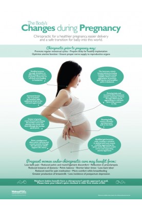Changes During Pregnancy Poster