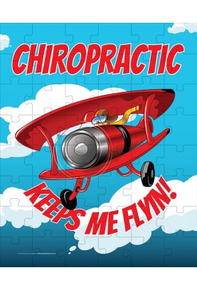Chiropractic Keeps Me Flyin...