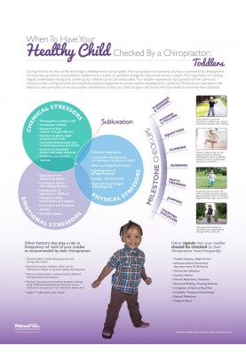 Healthy Child Check-Up Poster: Toddler