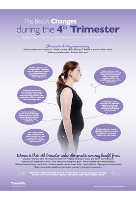 Changes During The 4th Trimester Poster