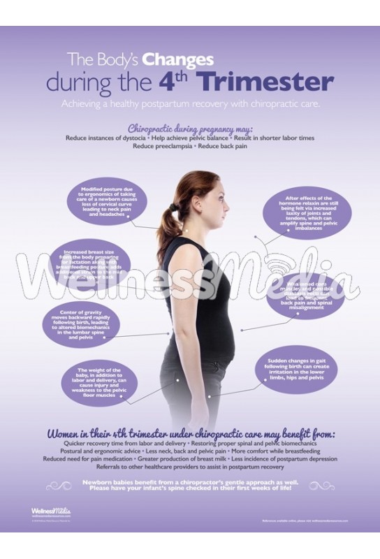 Chiropractic 4th Trimester Poster