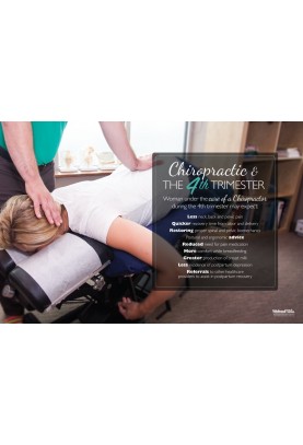 Chiropractic and the 4th Trimester Poster