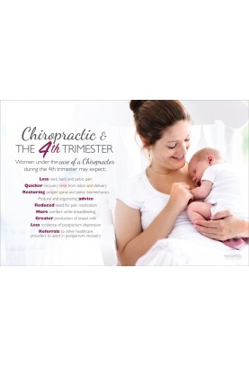 Chiropractic and the 4th Trimester Poster (2)