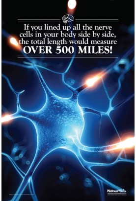 500 Miles of Nerves Poster