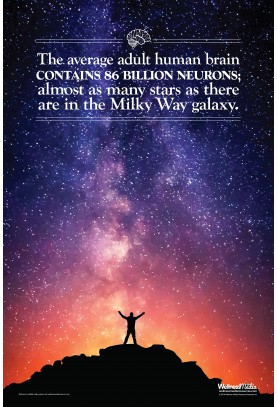 86 Billion Neurons Poster
