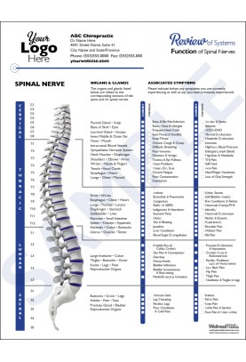 Spinal Nerve Function Form