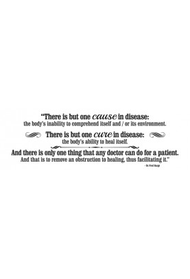 One Cause One Cure Decal - 30" x 10"