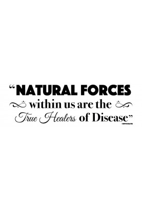 Natural Forces Decal - 60" x 20"