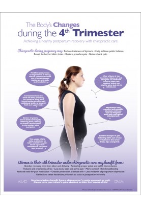 Changes During The 4th Trimester Chiropractic Handout