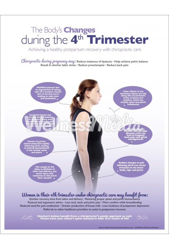 Changes During The 4th Trimester Chiropractic Handout