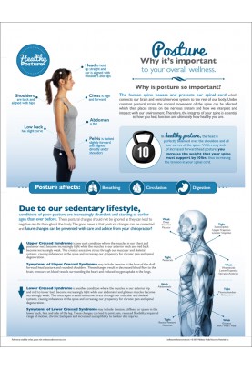 Chiropractic Posture Handout
