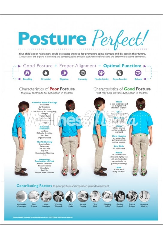 Posture Perfect Chiropractic Handout