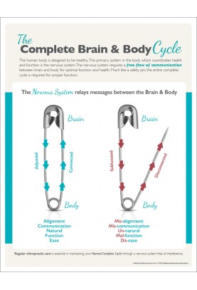 The Complete Brain and Body Cycle Handout
