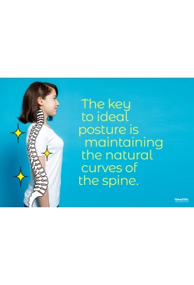 The Key to Ideal Posture Poster