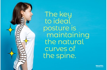 The Key to Ideal Posture Poster