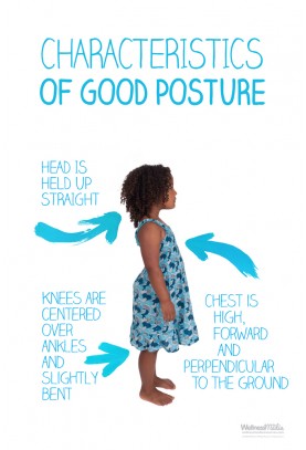 Characteristics of Good Posture Poster