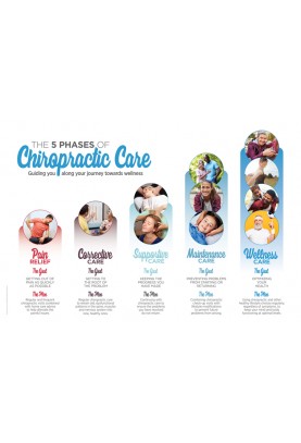 The 5 Phases of Chiropractic Care Poster