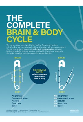 The Complete Brain and Body Cycle Poster (2)