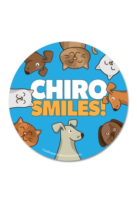 Chiro Smiles Chiropractic Sticker