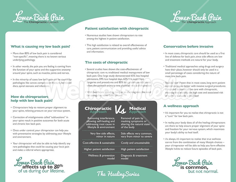 Chiropractic Low Back Pain Brochure