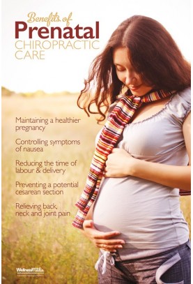 Prenatal Chiropractic Benefits Poster